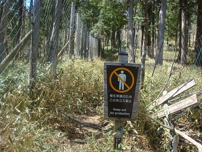 立入禁止看板があるが、入山禁止は強制でなく希望とのことです
