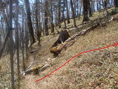 ネット沿いにったこの付近から右の名古屋岳のピークを目指す