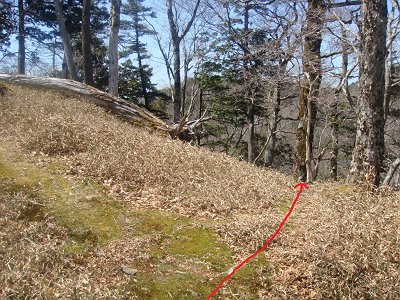 名古屋岳から少し戻って三津河落山へ。一旦コルへ下る