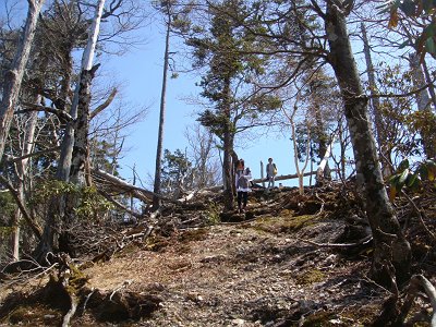 三津河落山まで少し下りになるがちょい下りにくいというS嬢と母
