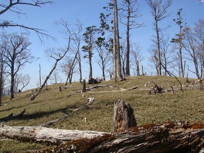 三津河落山が見えた