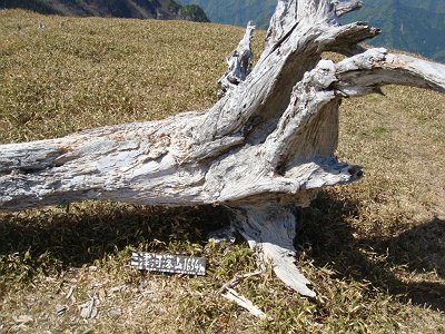 三津河落山(1628m)に到着。ここでは1654mになっているが三津河落山のこと