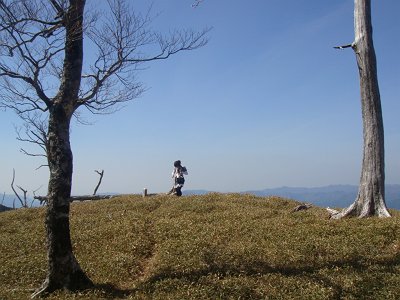 下山時振り返り三津河落山とS嬢が絵になっていた