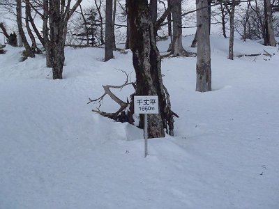 千丈平(1660m)に到着