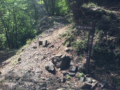 登りの林道を歩くこと1時間で七面山の登山口に到着
