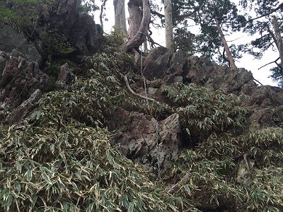 西峰へ登り返し。鎖が置いてあったけど、いらないのではレベルのものだった