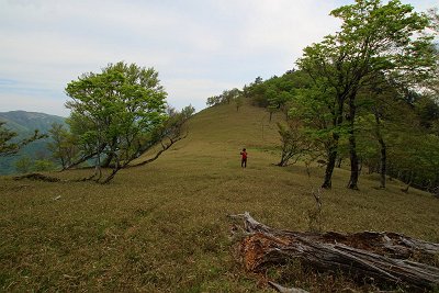 アケボノ平に到着
