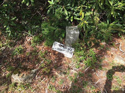 七面山の三角点・槍ノ尾（1556.4m）に到着