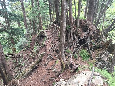 下りの尾根はこんな感じで急斜面でちょい危険個所もあったりする