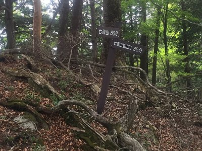 1時間ほどで分岐。ここで尾根を登っていく