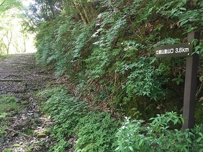 登山口まで3.8km！これから長い林道歩きが始まるが、登山口が3.8kmなだけで林道の終点までいくのでその倍くらいの距離を歩くことになる
