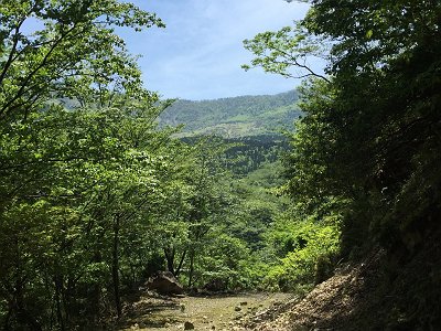 樹林の隙間から神仙平が見えてきた