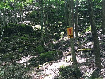 こんなところにも七面山の登山口？