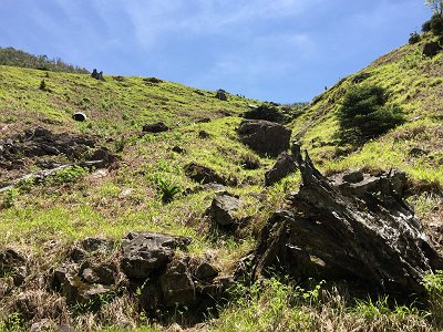 樹林を抜けると一気に開けた素晴らしい高原地帯にでた。