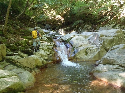 遡行していきます