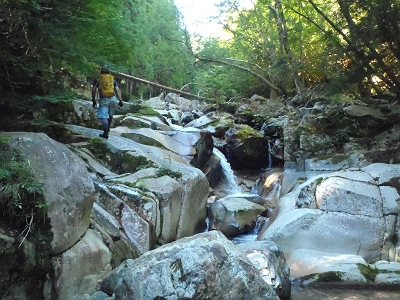 じゃんじゃん遡行してきます