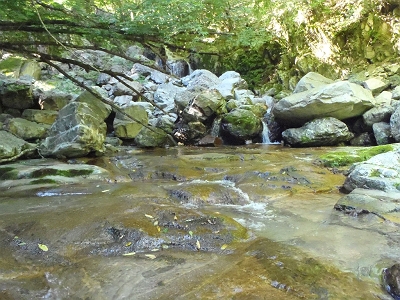 ナメ地帯もあり