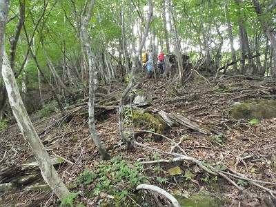 しばらくすると雑草もなくなって普通の尾根みたいなところに入る。ここも急登が続く