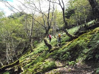 稜線のコルが見えた