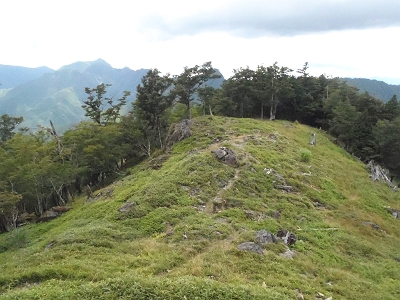 草つきの展望台地に到着