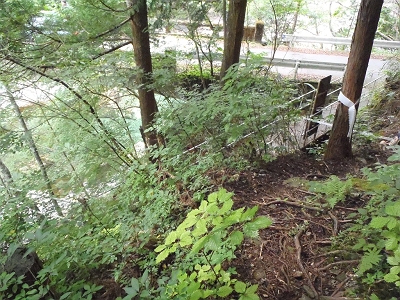 大川口に降りてきた