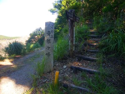 せっかくなので青根ヶ峰に行ってみることにした