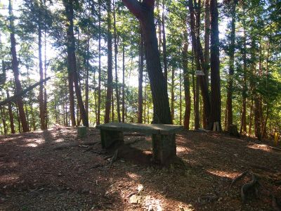 青根ヶ峰の山頂は三角点とベンチがあるものの展望もなにもない