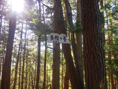 青根ヶ峰(857.9m)のプレート
