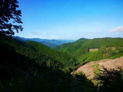 青根ヶ峰の登り口からは少し展望が良い