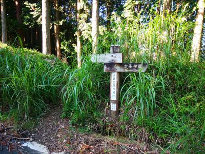 ここから入山して道路を巻くけど、この登山道は意味があるのか不明だった