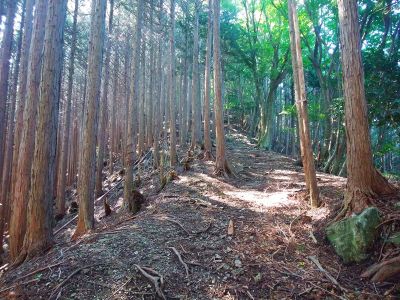 レール越しに結構な登りが続く