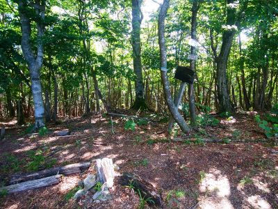 四寸岩山(1235.85m)に到着。三角点が札で隠れている