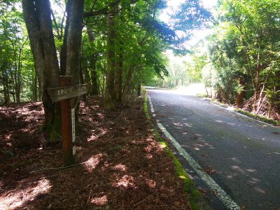 下りきったら一旦道路にでるが、斜めに横断してまた入山する