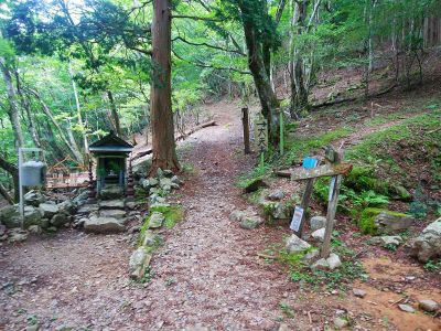 ここで近畿自然歩道だと直進して五番関までトラバースできるみたいだけど、とりあえず大天井ヶ岳は右側の尾根を登っていく