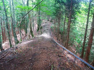 またレールがある。このレールから上から急登になる