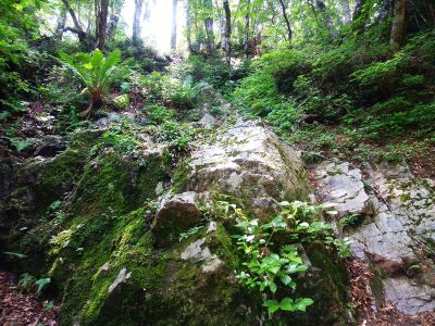 急登の途中で岩場を登る。トラロープまである。下山はかなり苦労しそうだ