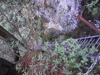 こんな梯子をあがってきたが上から見るとすごい