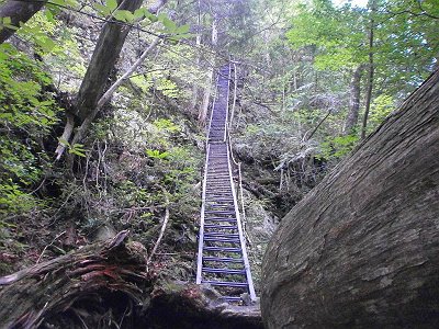 またまた長い梯子をあがることに