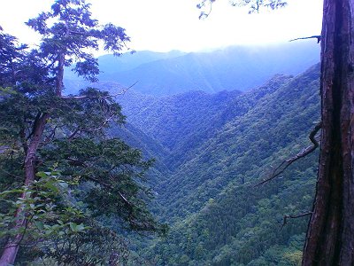あの谷から登ってきたと思うとかなり高くなってきた