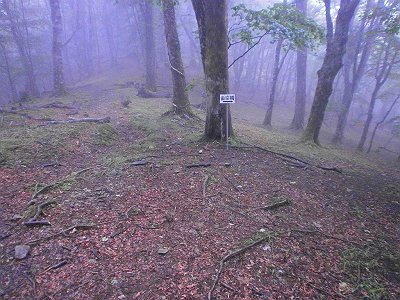 金引尾根の分岐