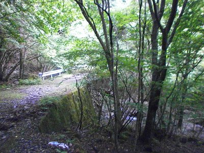 金引尾根の終長い下りの終わり