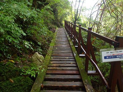 今にも腐ってそうな橋なので慎重にわたる