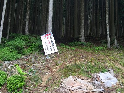 こっちから登ります