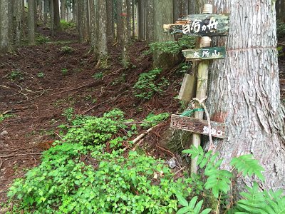 古い標識があった。ちゃんと登山道になっているんやね