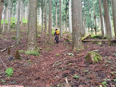 最初から結構な急登。