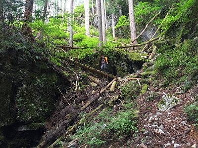 木の階段があったけど、ボロボロでは！？