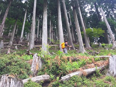 さらに急登は続く
