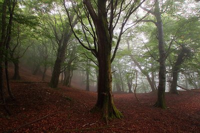 おぉ～雰囲気がいい場所。この辺で撮影したおす