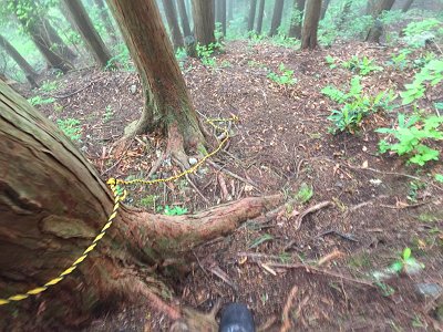 写真では伝わらないけど結構な急斜面を下る