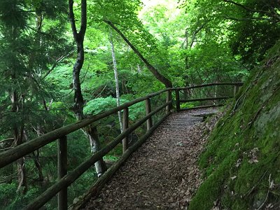 ここだけちゃんと整備されていた